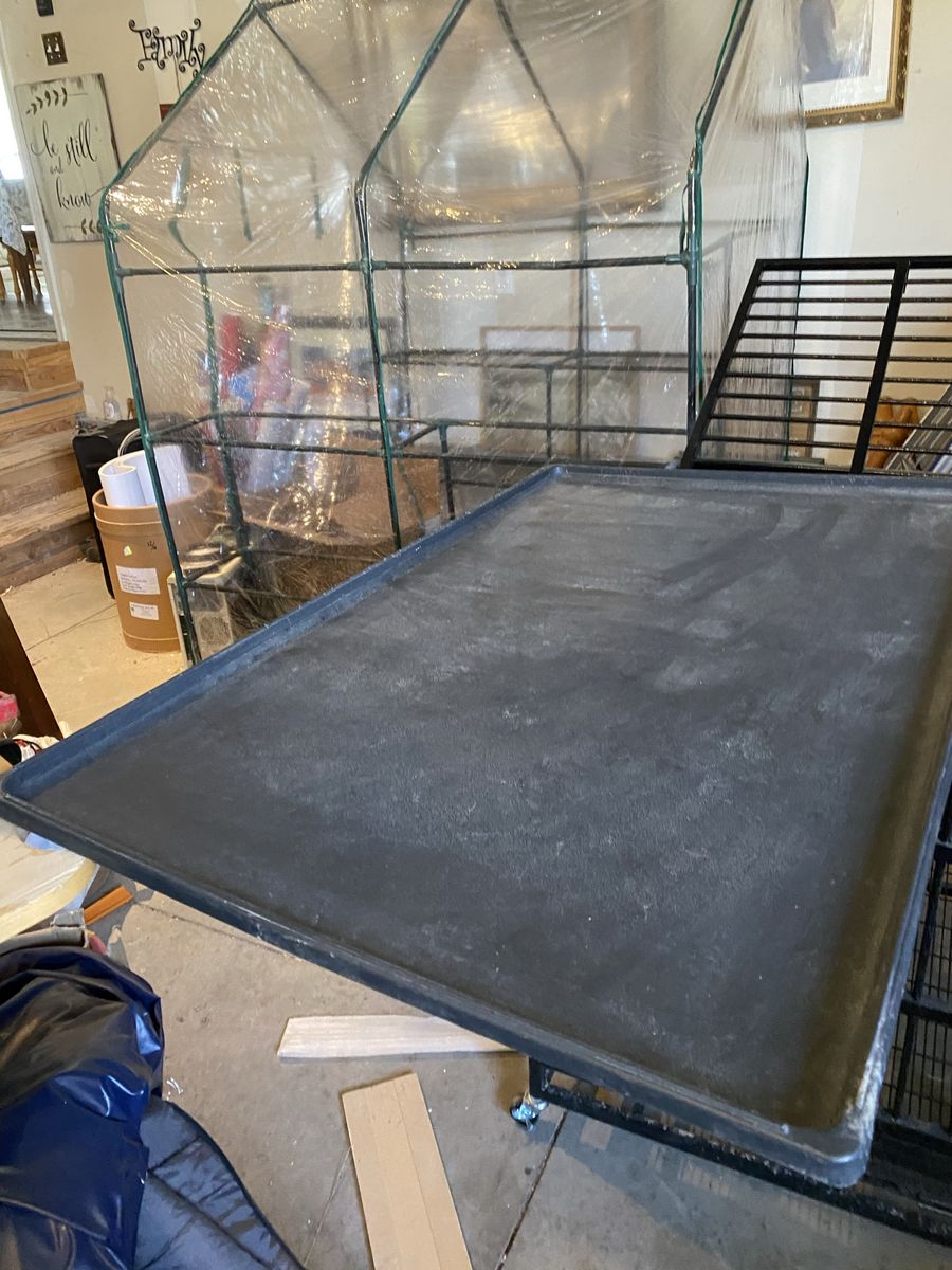 Main image 4