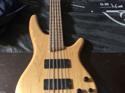 Vintage 5 String bass