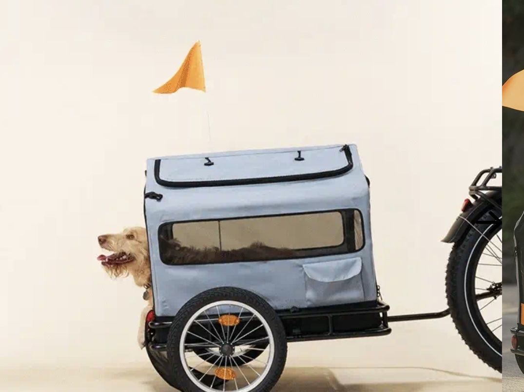 Rad Power Bikes Pet Trailer Compartment