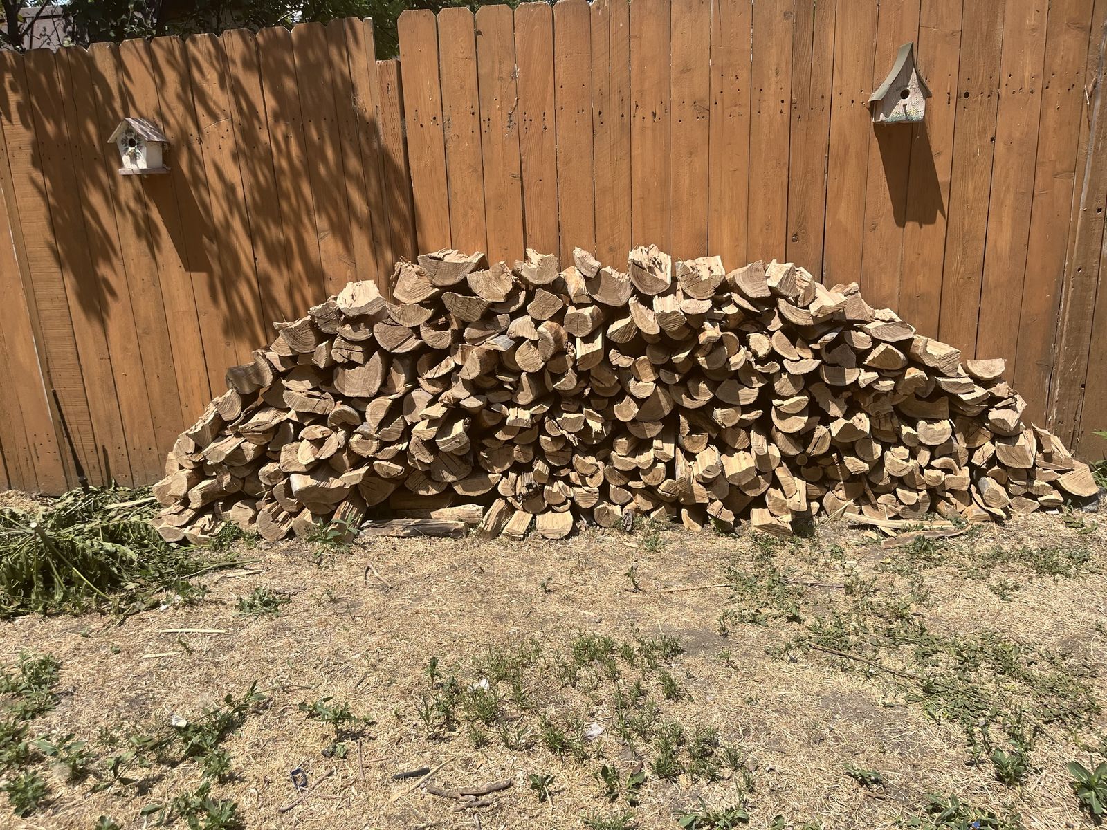 Seasoned Firewood Pile - Ready to Burn