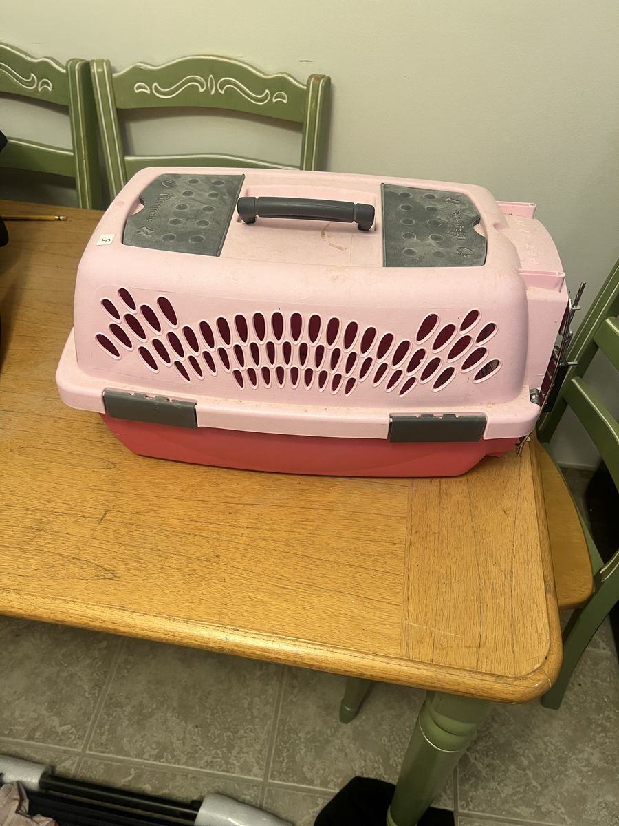 Small petmate pet taxi light and dark pink small cat dog pet. Could use a hosing off.