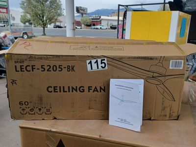 60 in ceiling fan with light