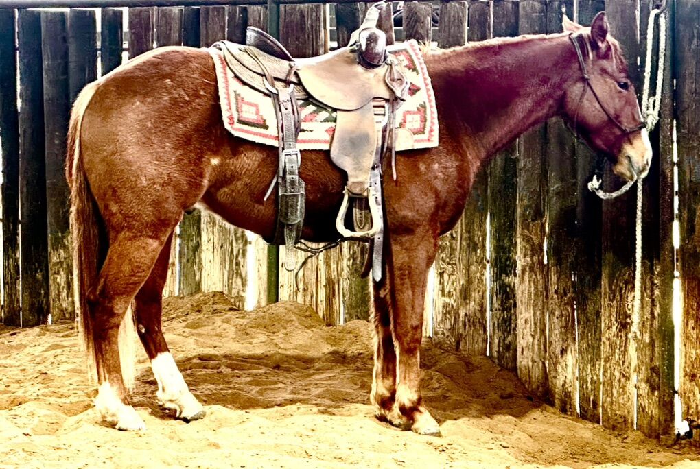 Performance Prospect