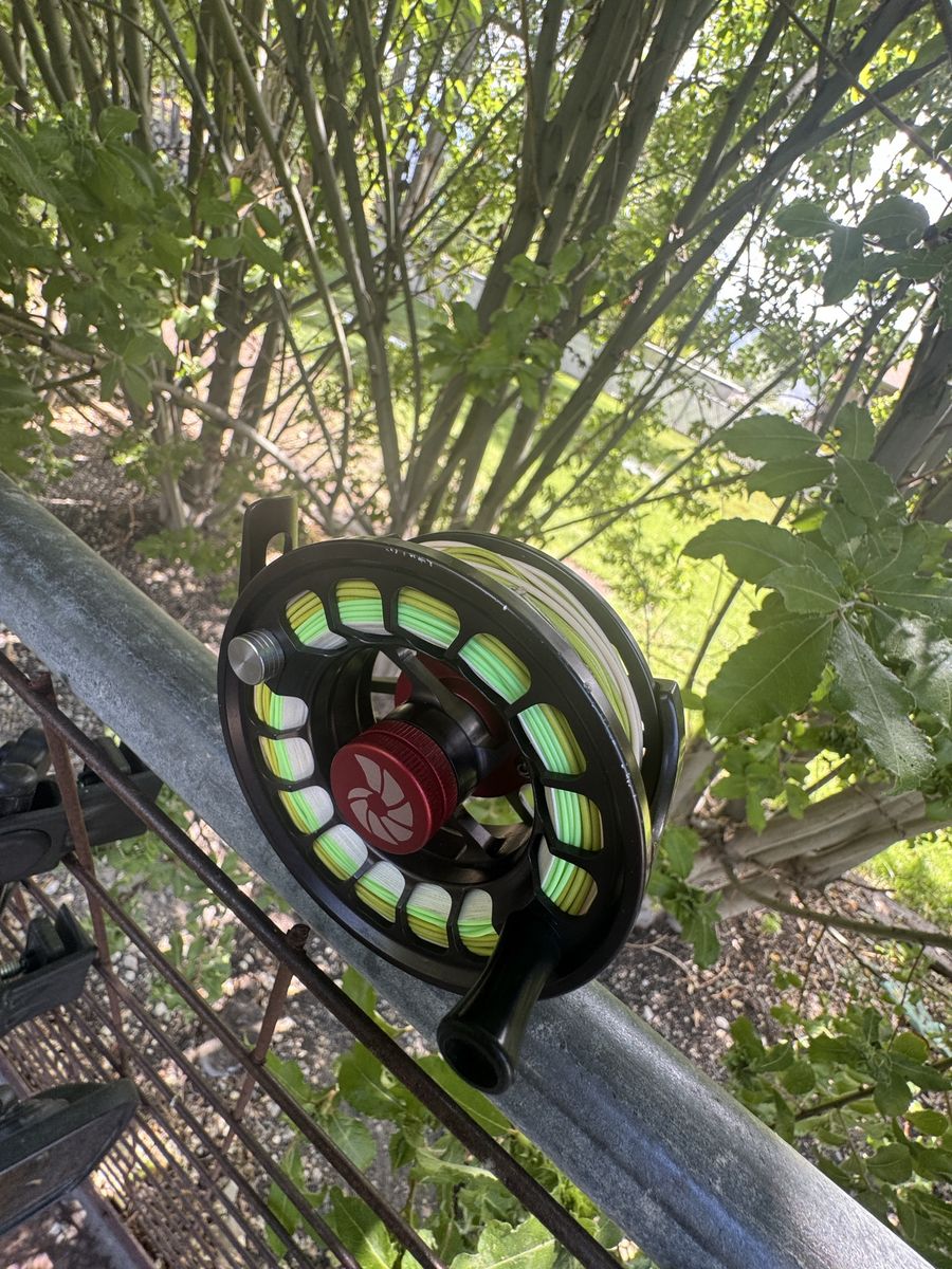 Main image 6