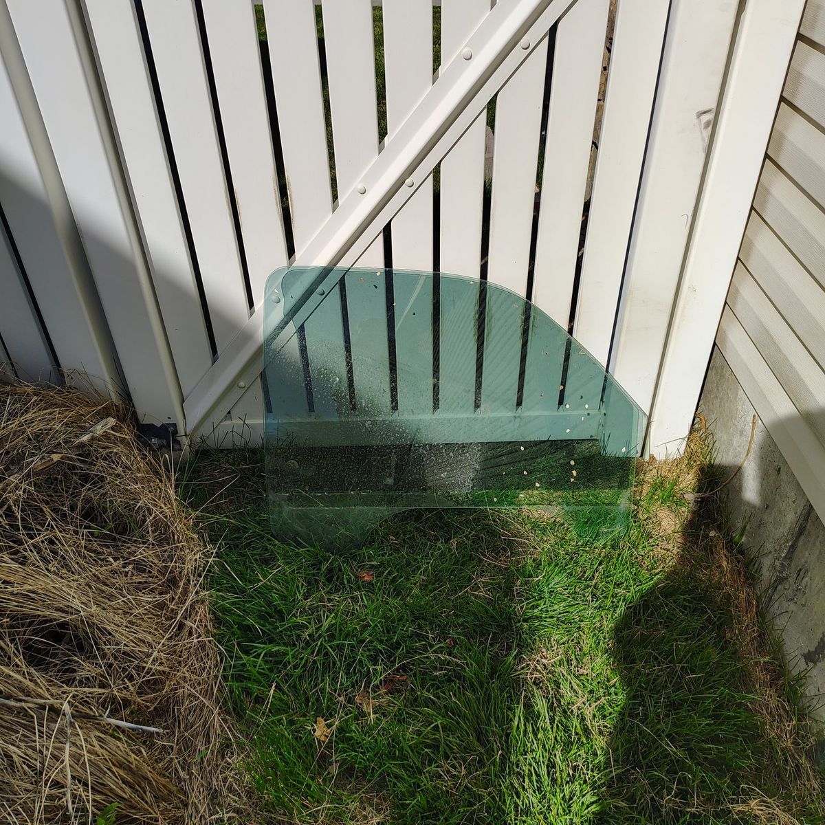 passenger side window