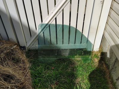 passenger side window