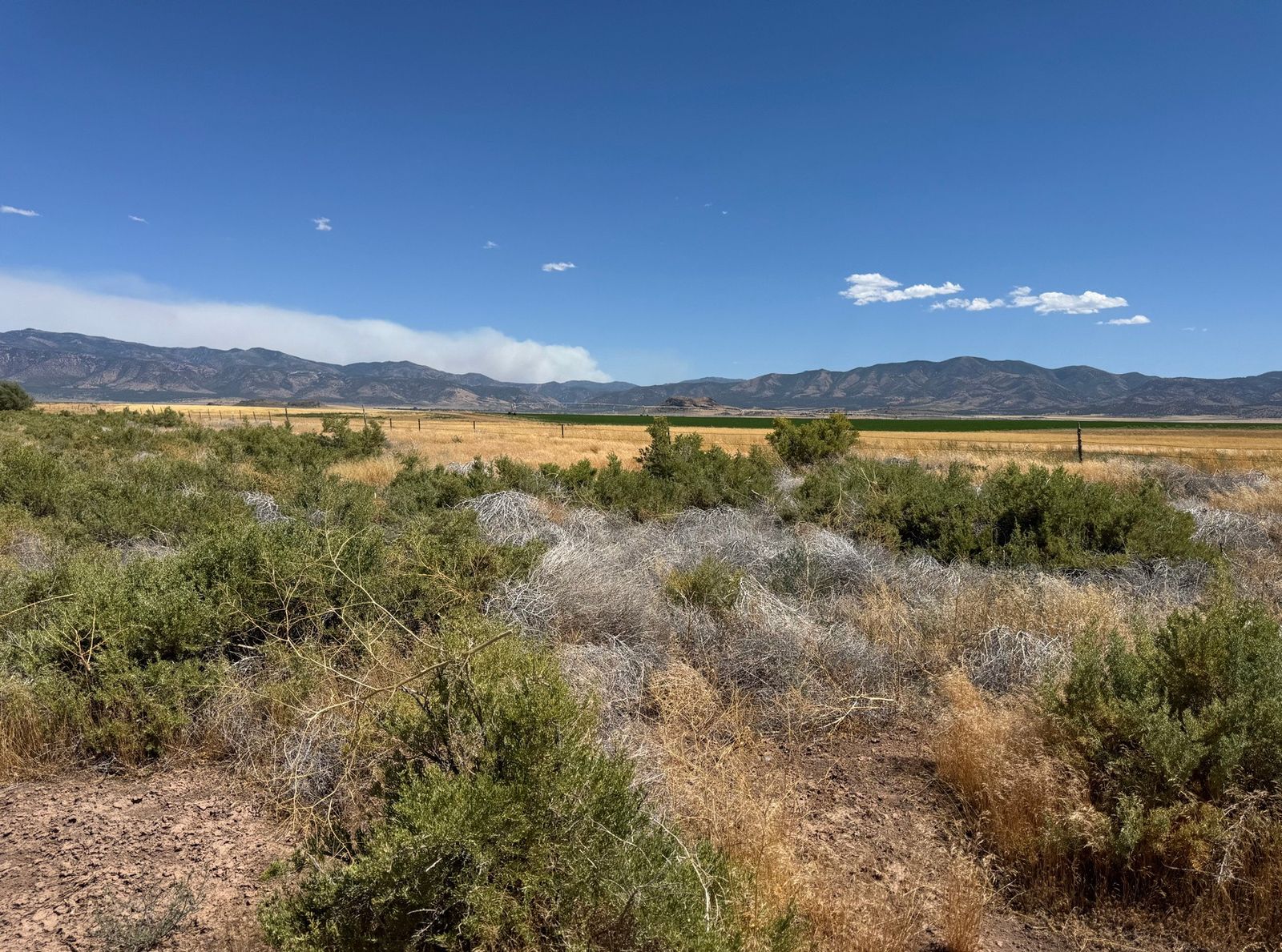 120 acres 6150 S 7400 W Fillmore, UT 84631