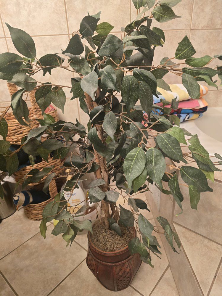 tree
