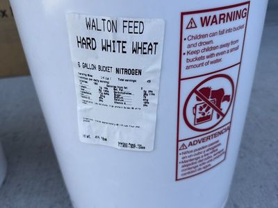6 gallon Buckets Of Wheat Food Storage