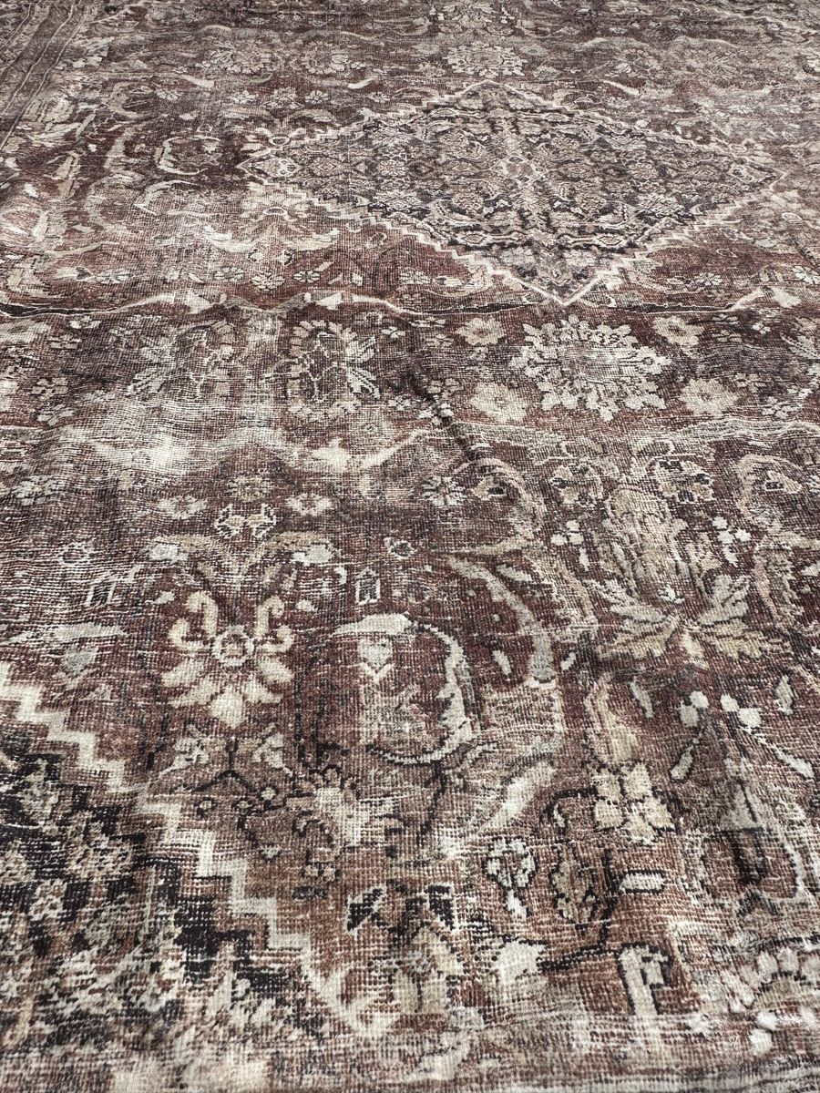Main image 10