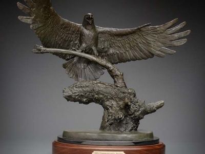 World Champion Philadelphia Eagle