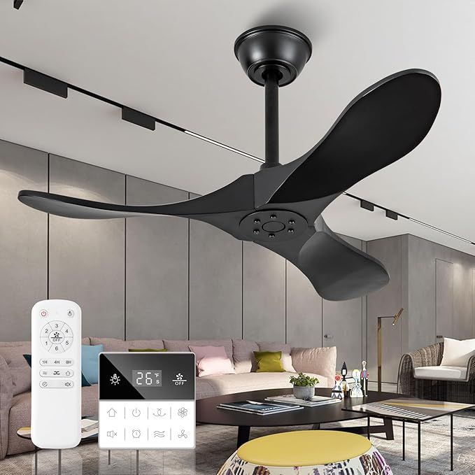 Ceiling Fan