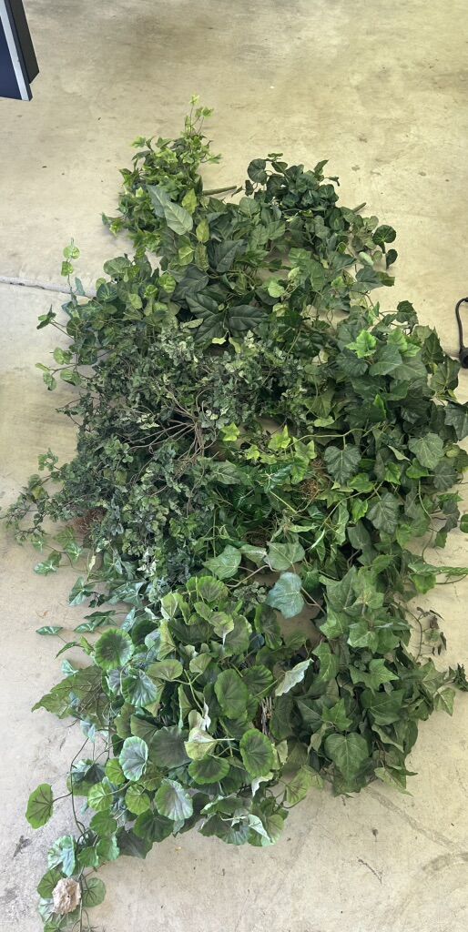 Decorative Indoor Plants 15 Pieces