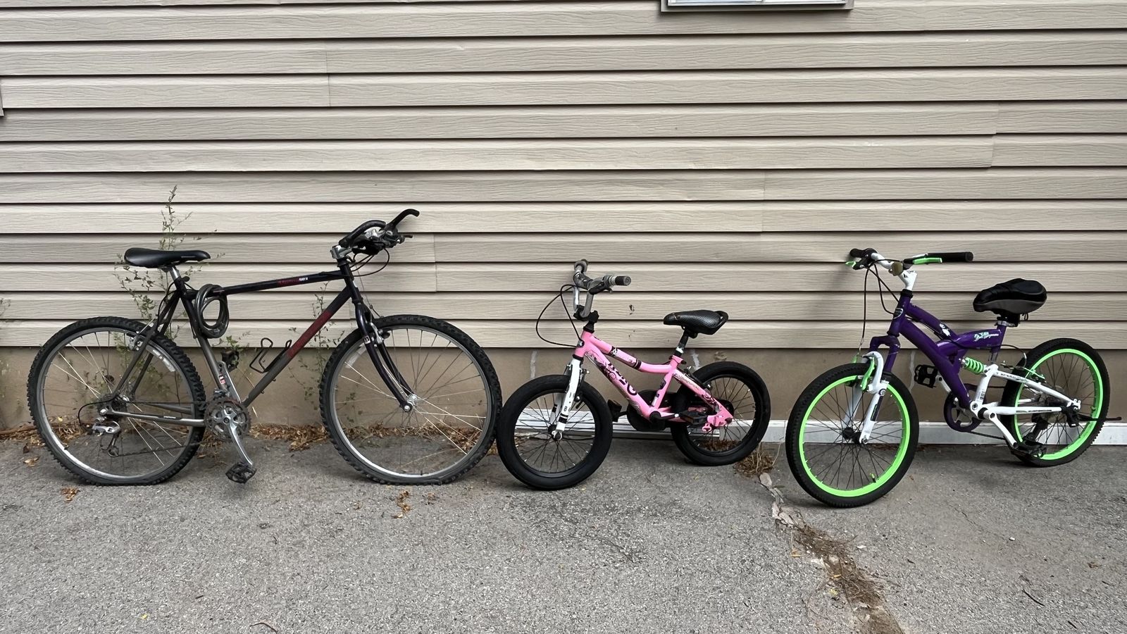 Free Bikes!