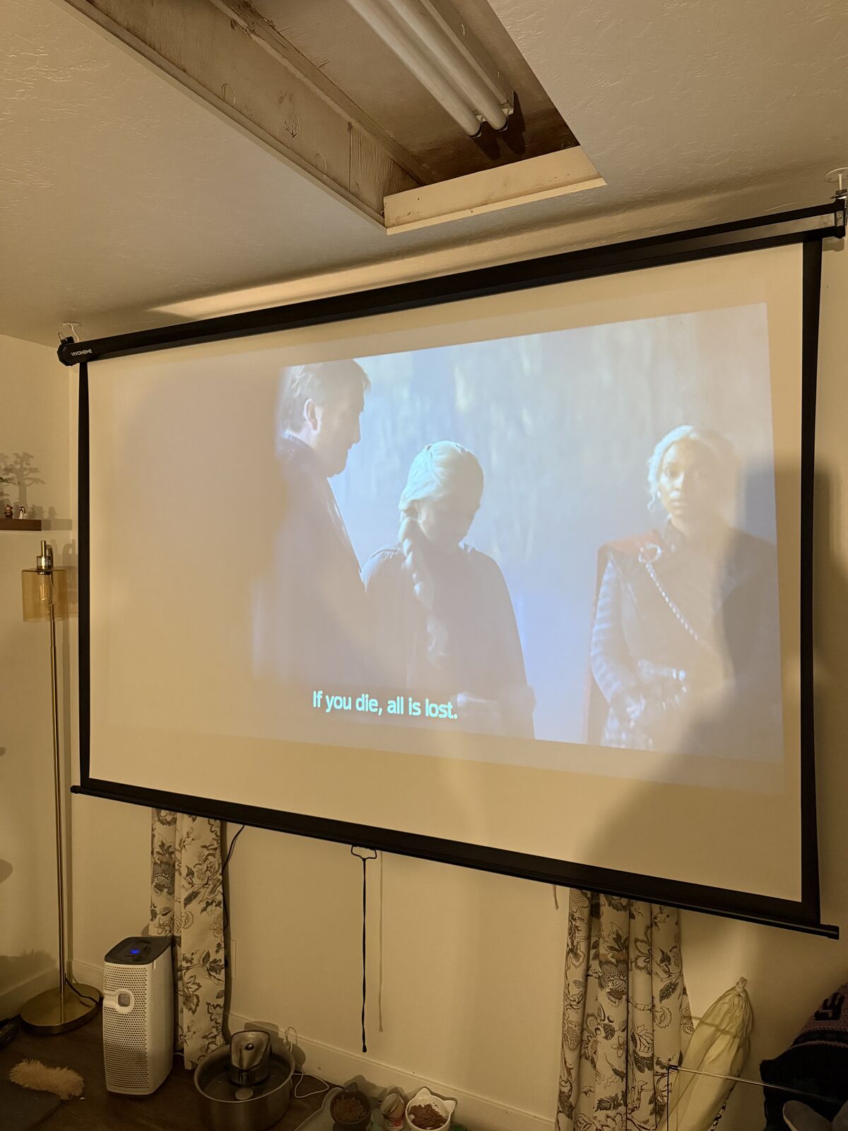 Projector and screen bundle