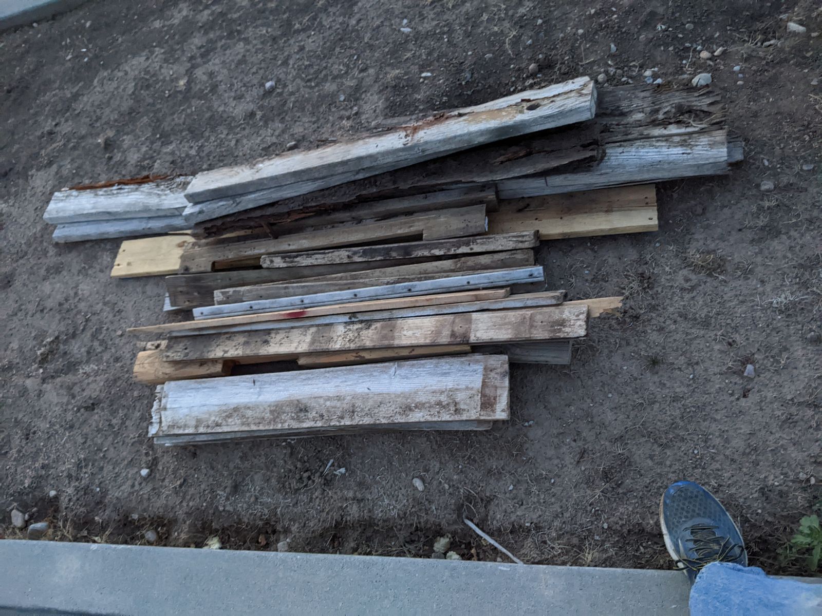 Wood