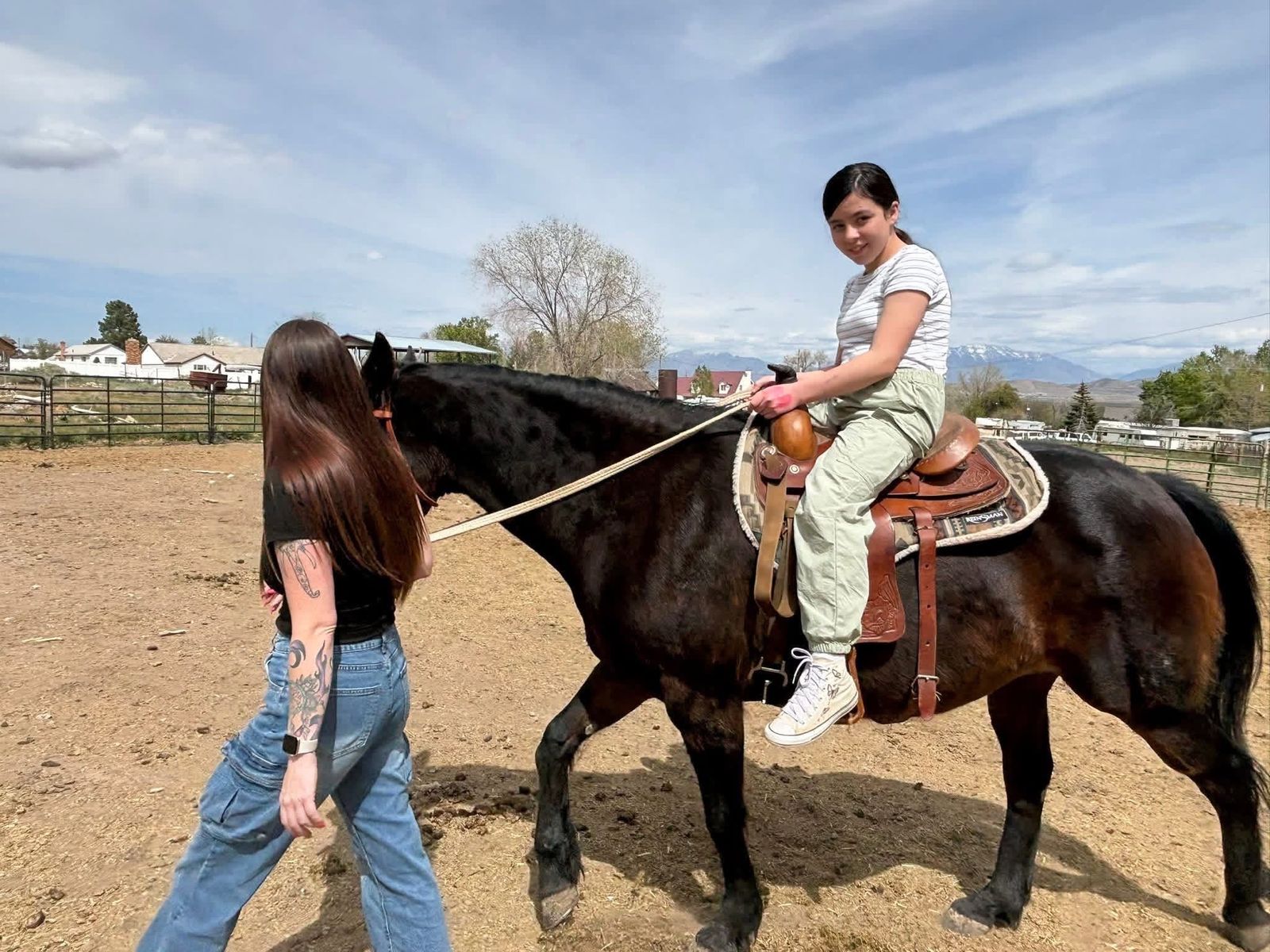 Kid safe QH mare