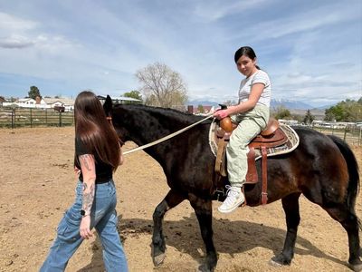 Kid safe QH mare