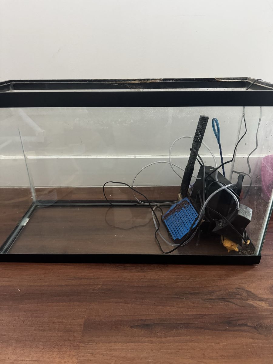 Used Rectangular Glass Aquarium Fish Tank - Good Condition, No Leaks, Includes Filter