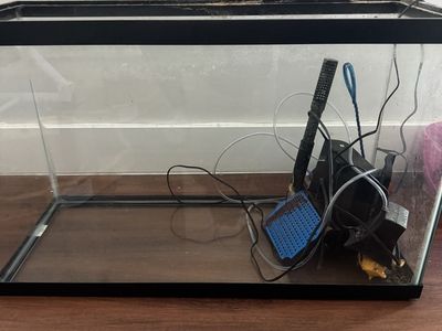 Used Rectangular Glass Aquarium Fish Tank - Good Condition, No Leaks, Includes Filter