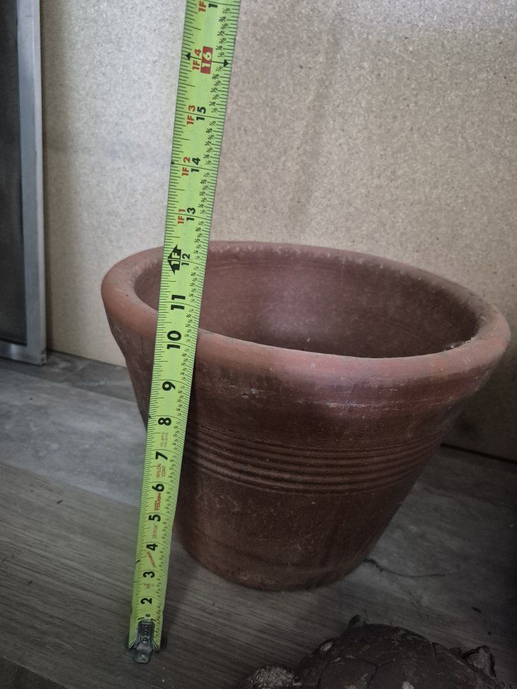 Main image 11