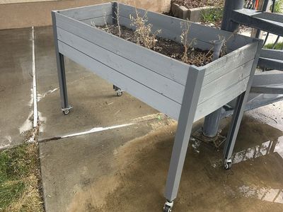 Raised Wooden Planter Box on Caster Wheels - Gray