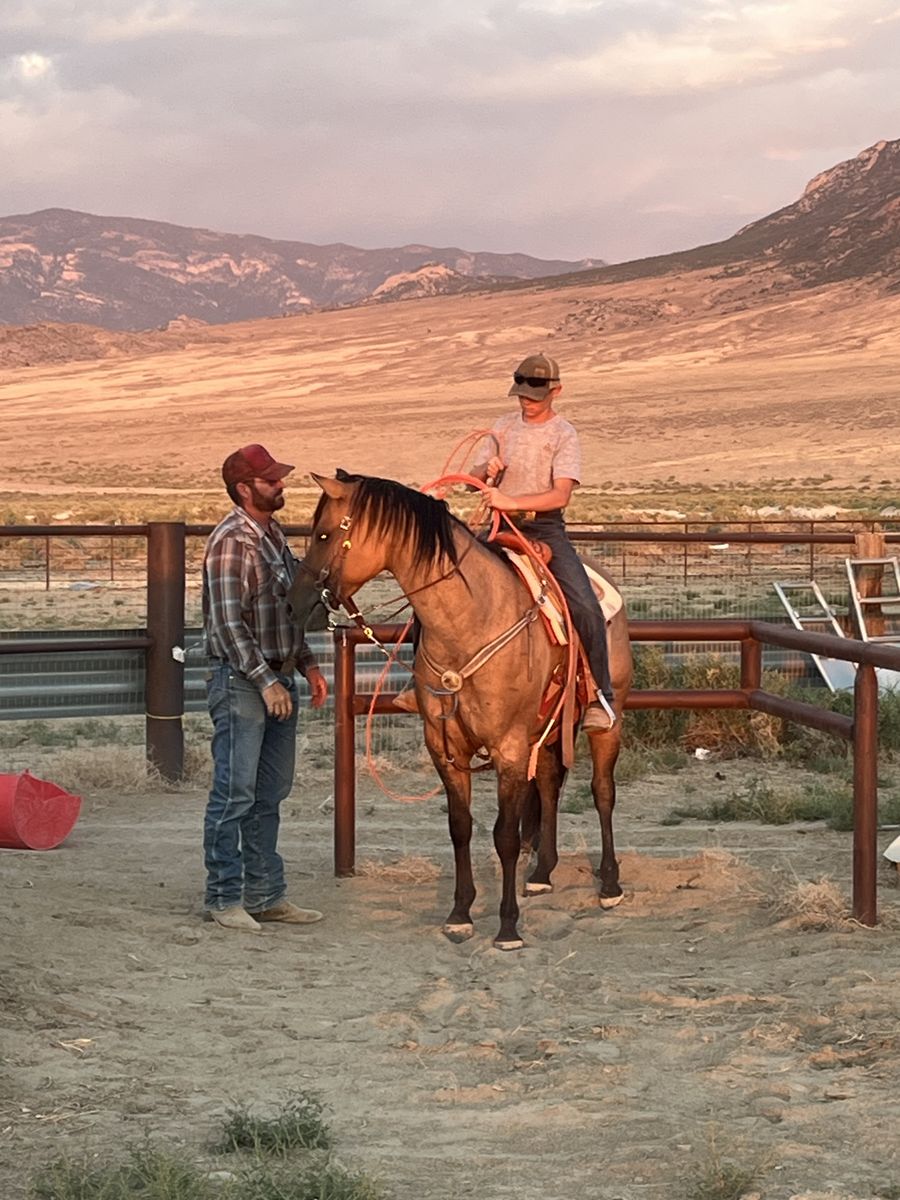 2017 Dun Roan AQHA Mare Heel/breakaway prospect