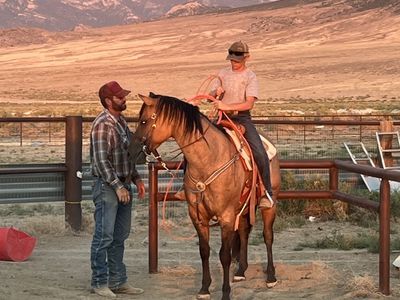 2017 Dun Roan AQHA Mare Heel/breakaway prospect