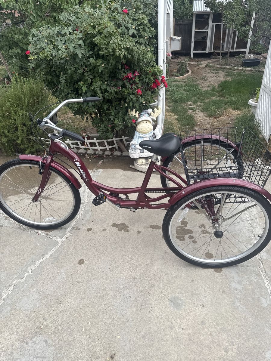 Meridian bike