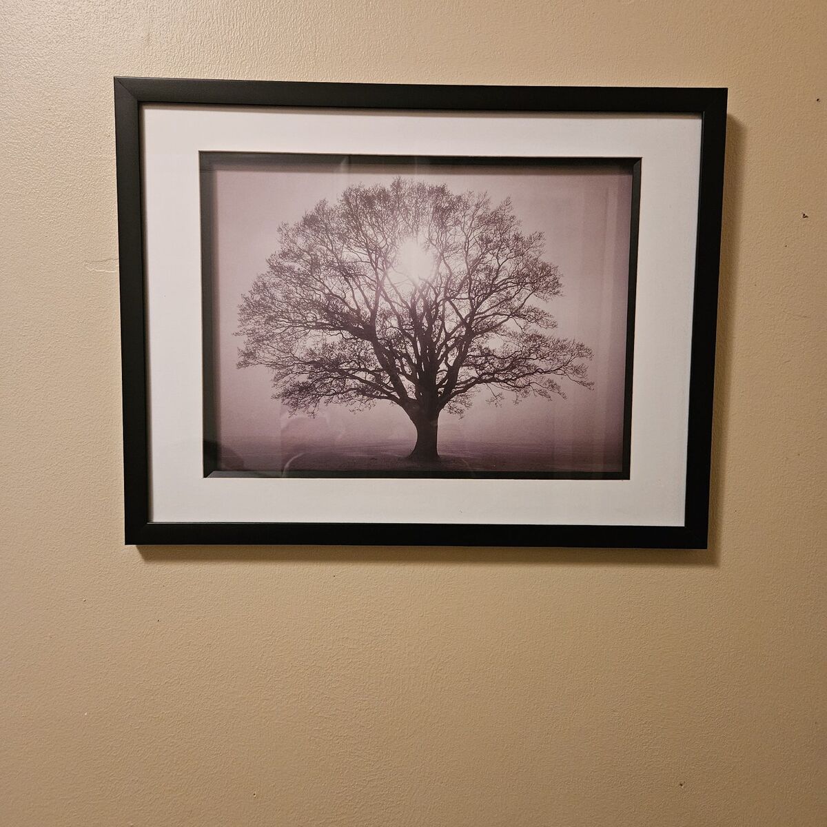 Black/white framed tree picture