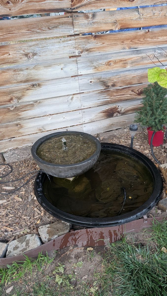 Pond with bog water feature (full setup)