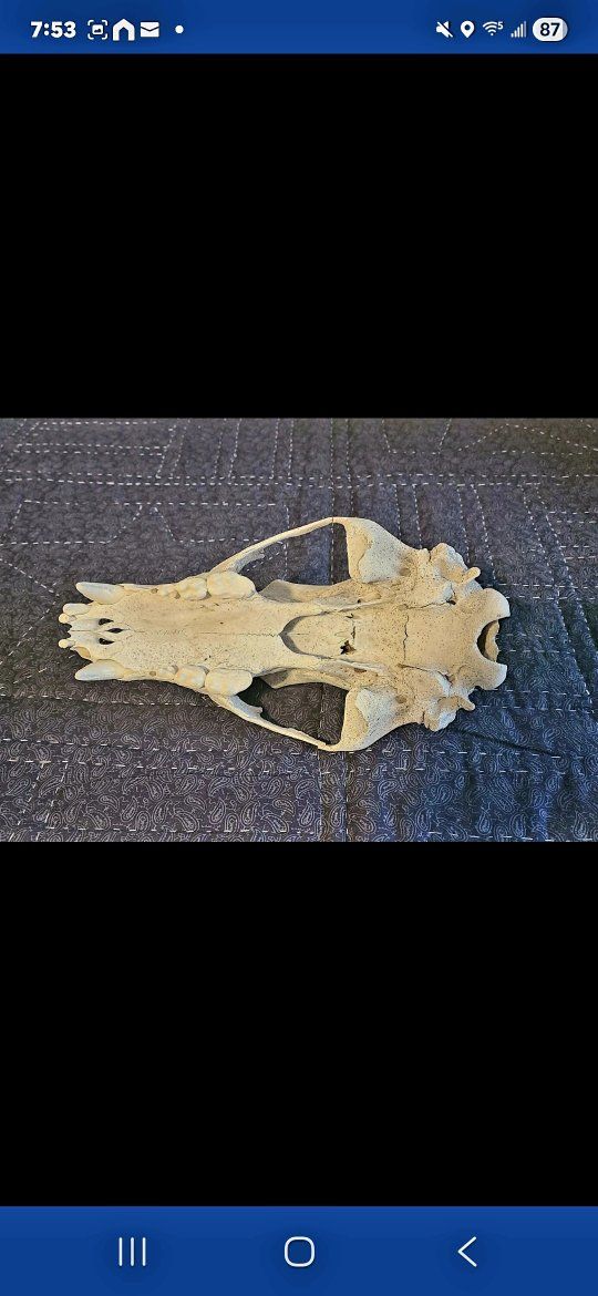 Main image 12