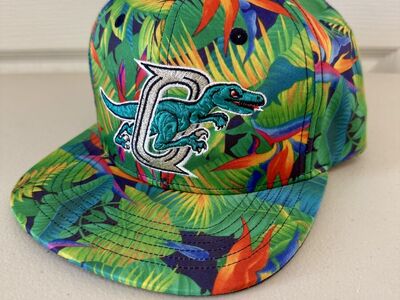 Ogden Raptors Hawaiian Print Snapback Hat