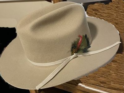 MINT Vintage Stetson "Park Royal" Fur Blend Dress/Western Hat (Size 7 1/2) - $125 OBO
