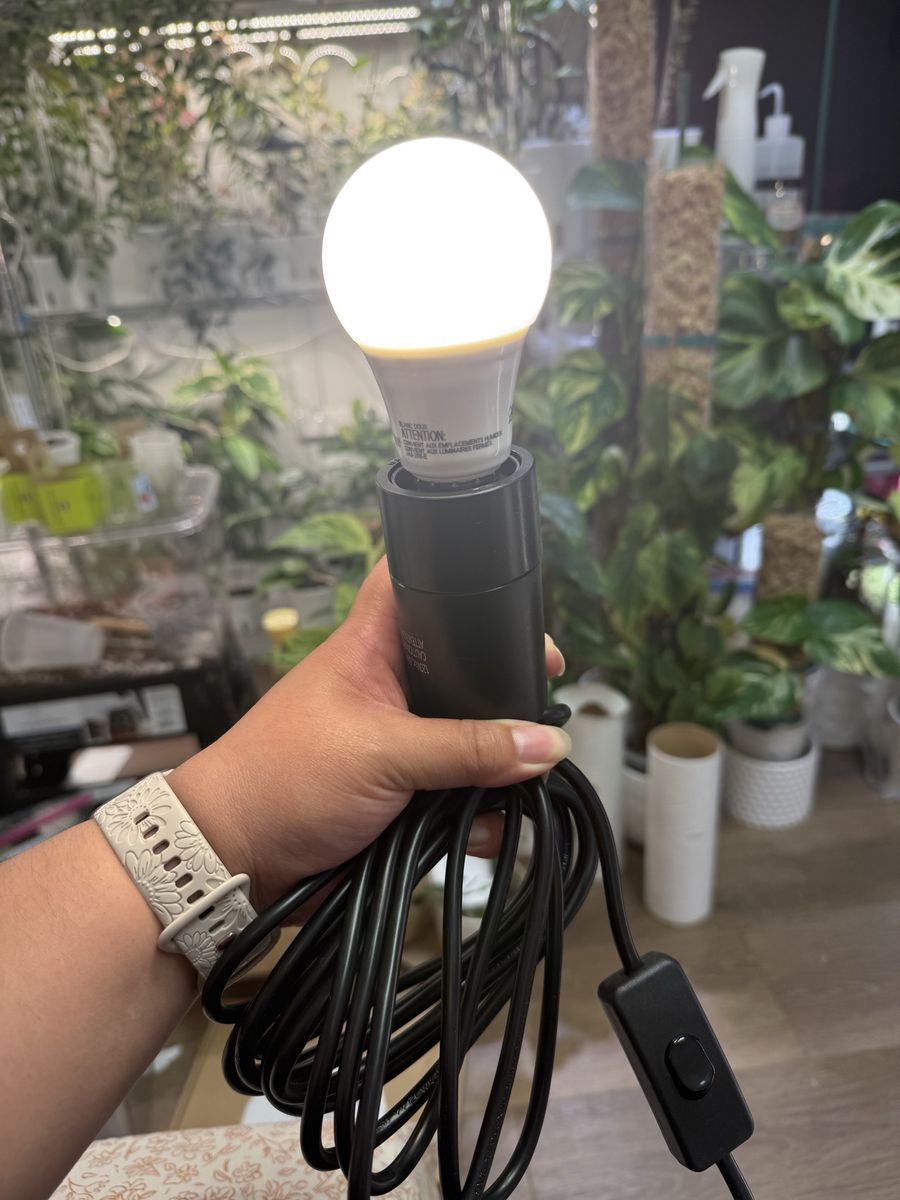 Ikea Havsris Light Cord