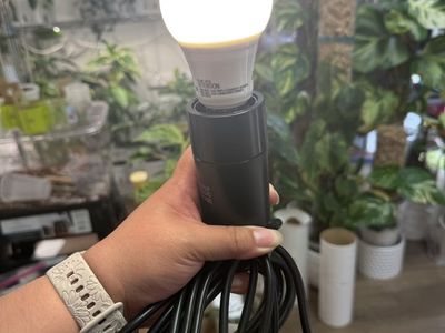 Ikea Havsris Light Cord