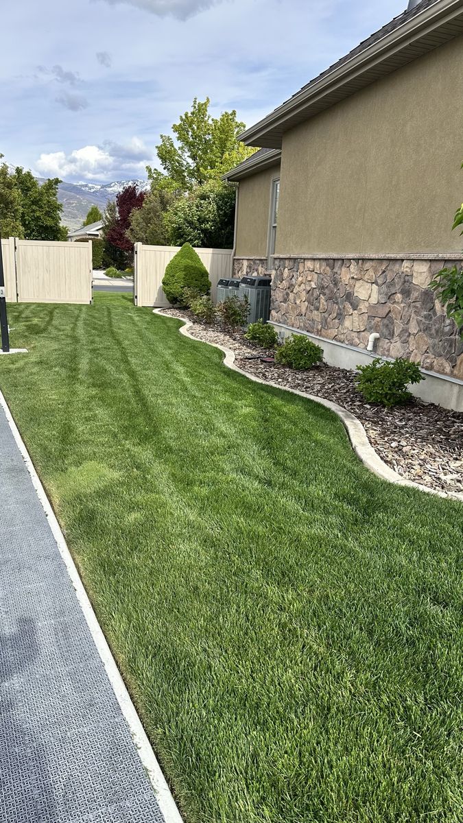 Main image 19