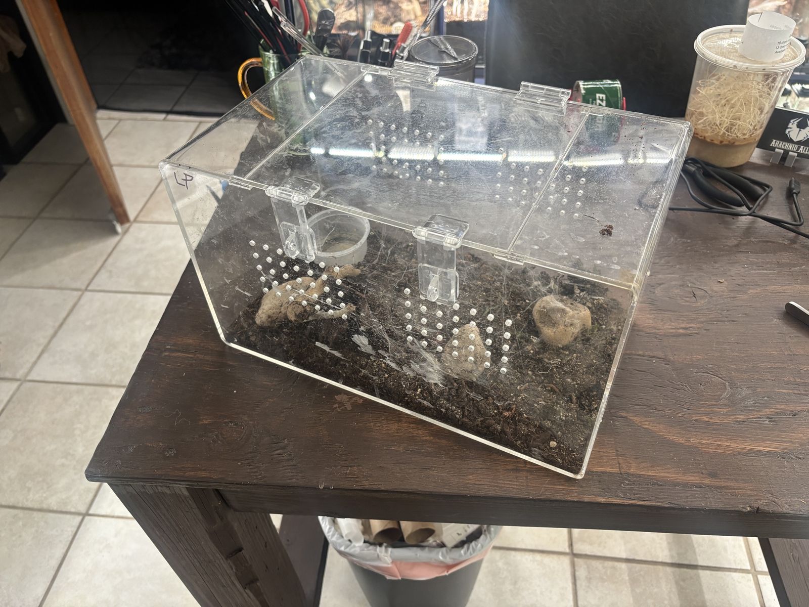 Acrylic tarantula or invert enclosure 