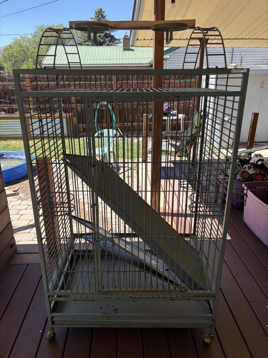Main image 6