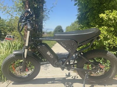 Ridstar Q20 E-Bike - 33mph, 30+ Mile Range, Custom Light, Charger & 2 Keys Included