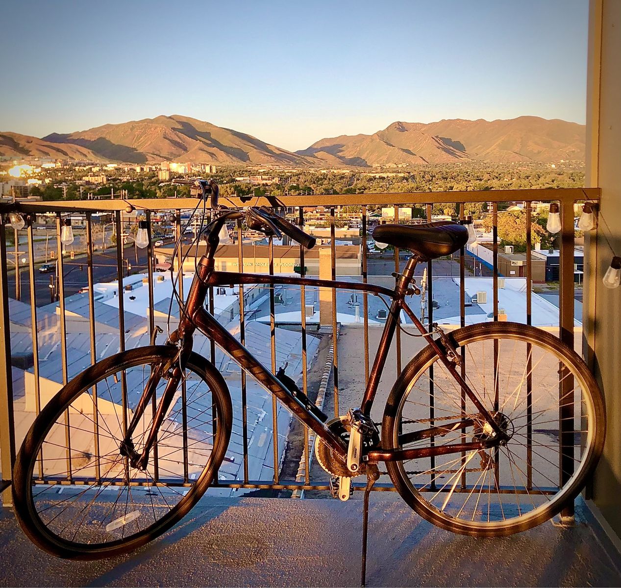 GIANT XL Hybrid Bike: Nice City Commuter!