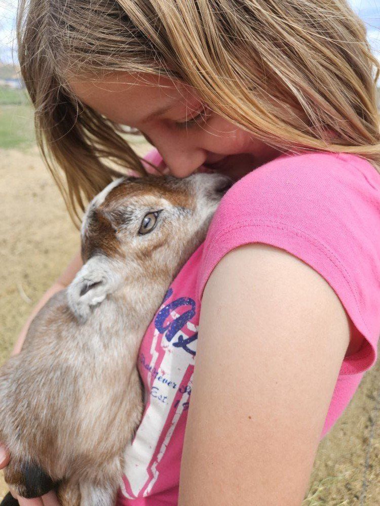 9 Nubian Goat Bottle Babies