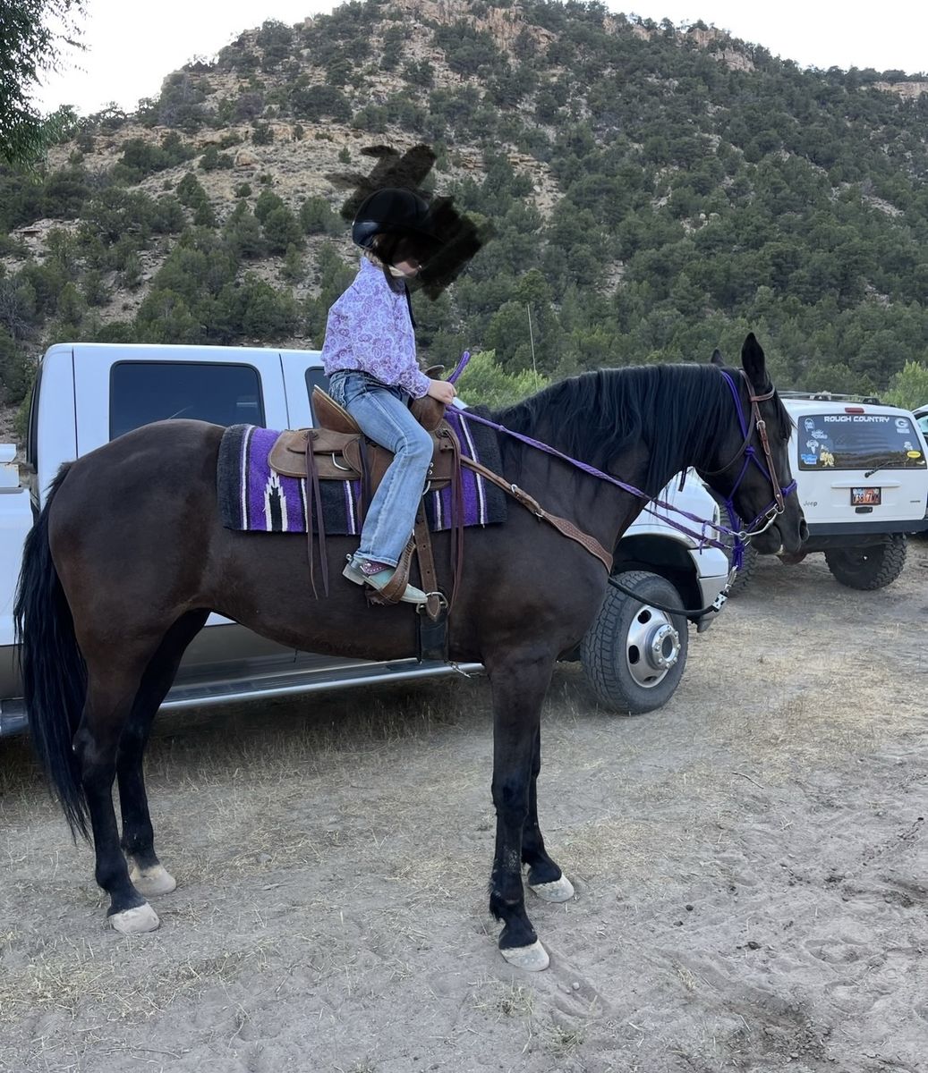 Kids Horse 18yrs old