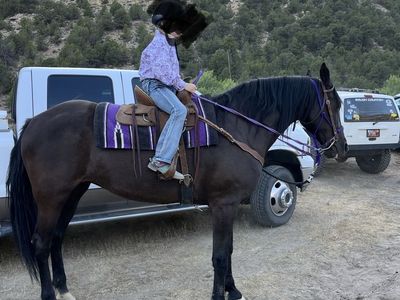 Kids Horse 18yrs old