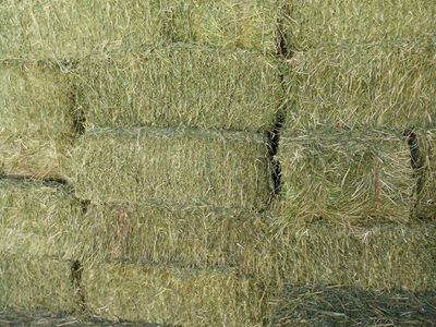 Grass-Alfala mixed hay