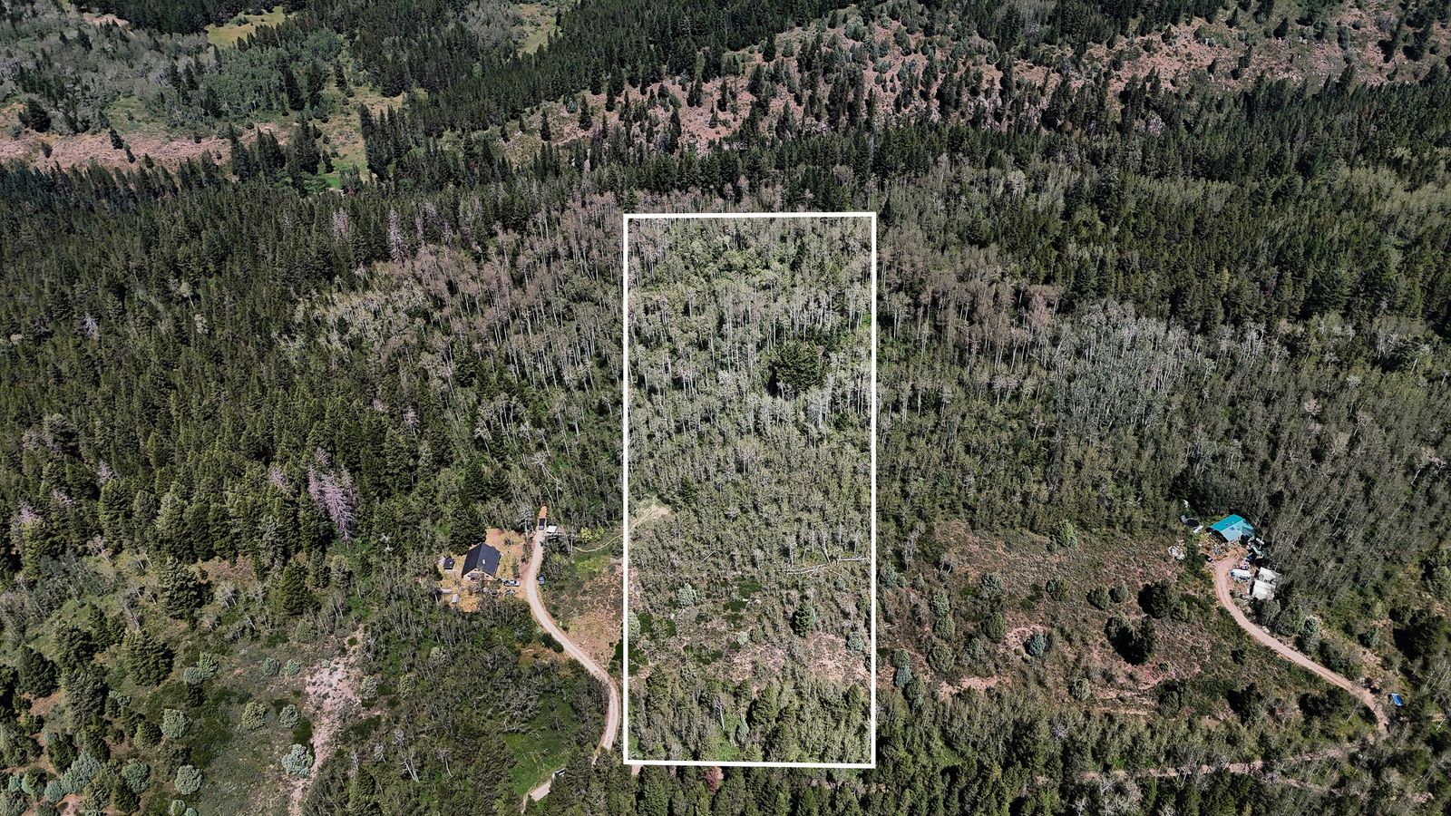 Main image 28