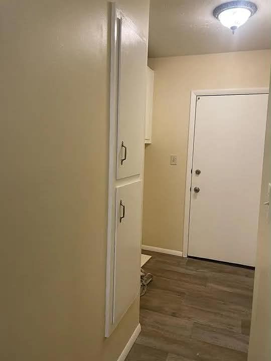 Main image 11