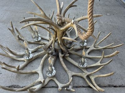 Faux Antler Chandelier (pottery barn) x 2