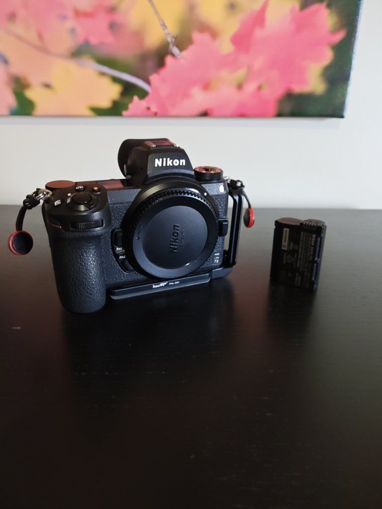 Nikon Z7II w/ extra battery, L-bracket - Lenses available