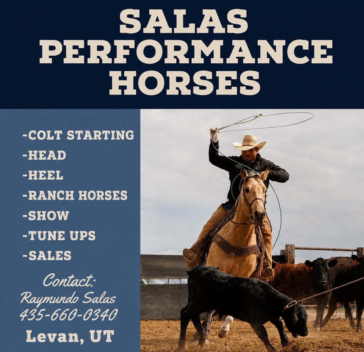 Salas Performance horses